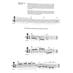 TROY STETINA - SPEED MECHANICS FOR LEAD GUITAR + PLAYLIST ONLINE - IN ITALIANO