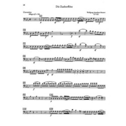 Orchester Probespiel Kontrabass - Fritz Massmann