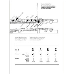 PETER WASTALL - SUONARE IL FLAUTO TRAVERSO + audio online