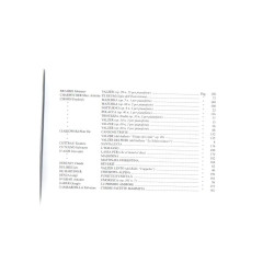 100 BRANI CELEBRI - STRUMENTI A TASTIERA