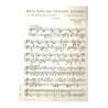 Sulle rive del Danubio. Valzer - Johann (Junior) Strauss