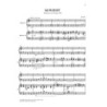 Piano Concerto In C Major K 503 For Two Pianos - Pianoforte - Partitura + Parti