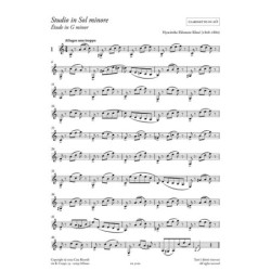 Studi per clarinetto - Daniele Rossi - Clarinetto e Pianoforte